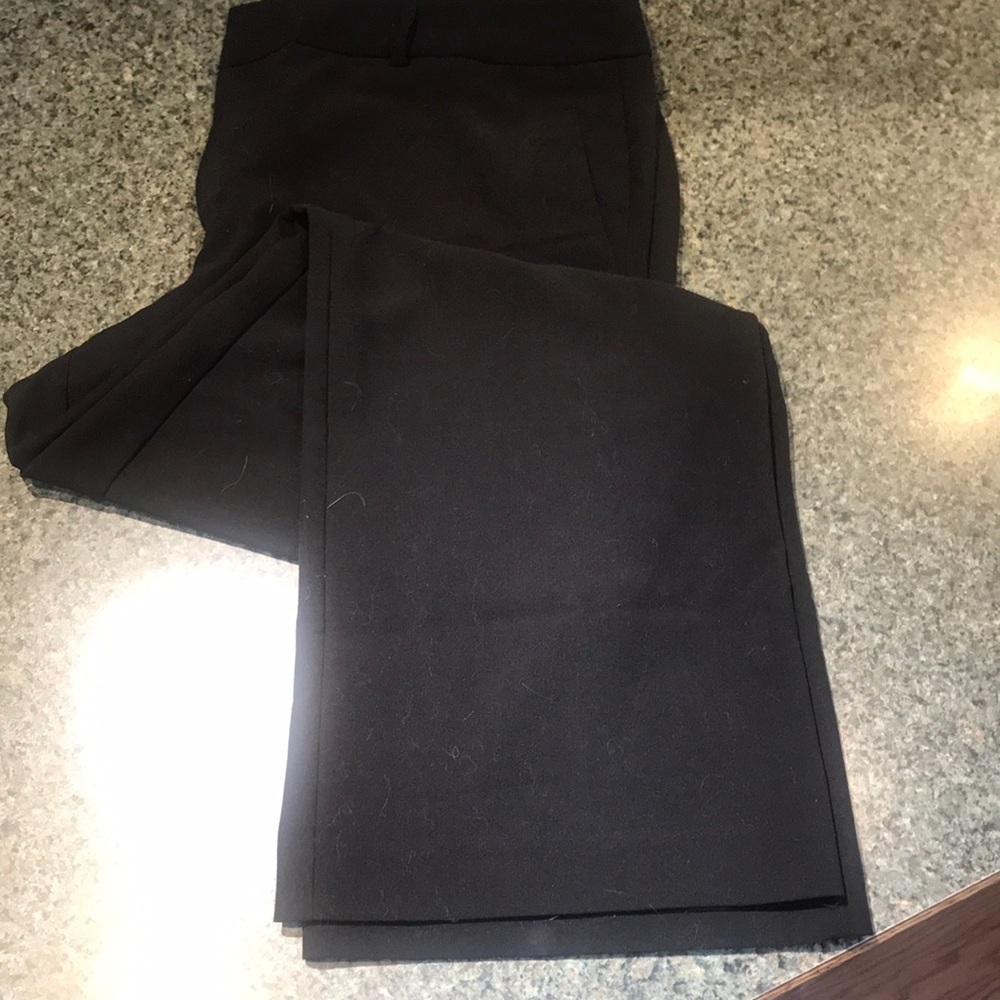 Covington 16 short black slacks